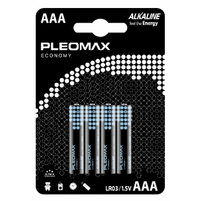 Элемент питания SAMSUNG PLEOMAX BL4 Economy (40шт./4бл.) LR06 (AA) /***